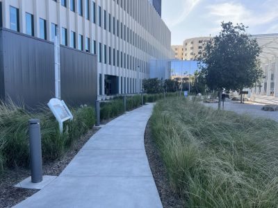 Loma-Linda-Medical-17-scaled